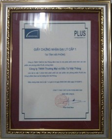Chứng nhận đại lý cấp 1 của Plus level cho Việt Thắng